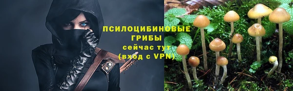 МДПВ Майский