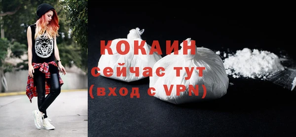 шишки Магас