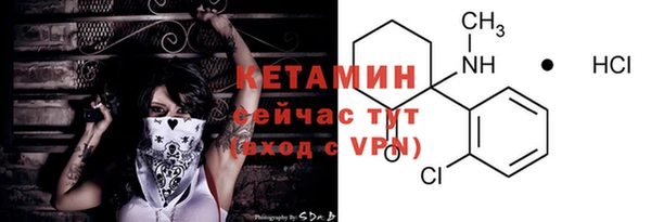 шишки Магас