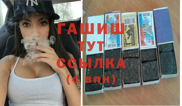 шишки Магас