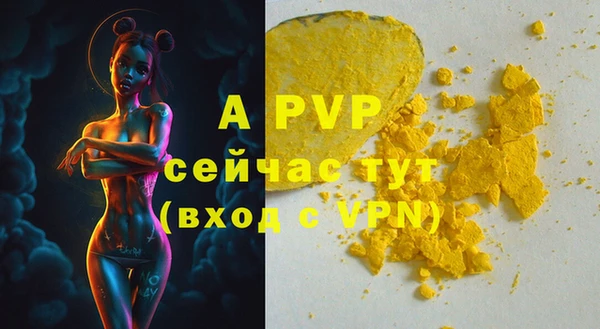 шишки Магас