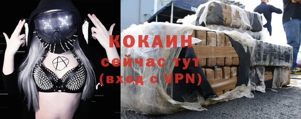 шишки Магас
