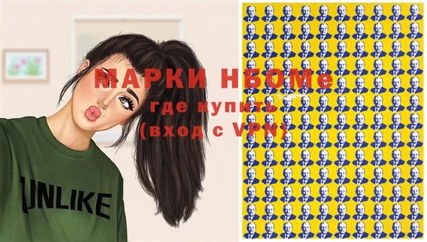 шишки Магас
