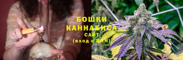 шишки Магас