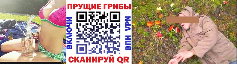 Псилоцибиновые грибы ЛСД  Купить закладки  Янаул 